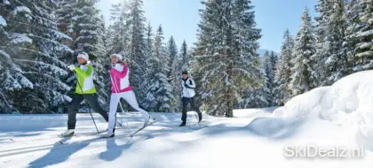 wintersport langlaufen